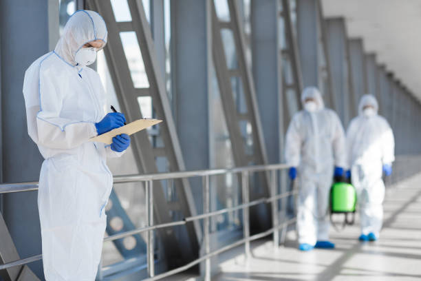  Mesita, NM Mold Removal Pros