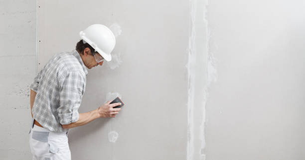 Best Residential Mold Inspection & Testing  in Mesita, NM