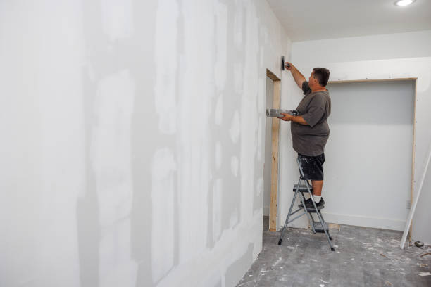 Best HVAC Mold Inspection and Cleaning  in Mesita, NM