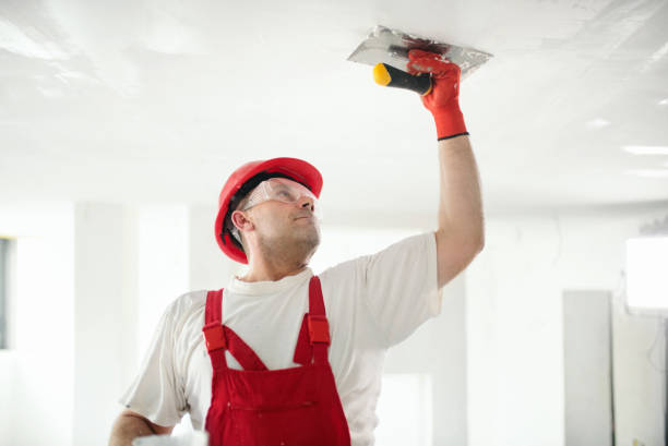 Best Environmental Consulting for Mold Prevention  in Mesita, NM