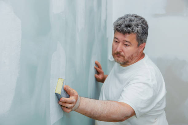 Best Emergency Mold Remediation  in Mesita, NM