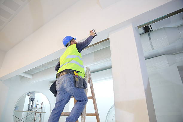 Best Water Damage & Mold Remediation  in Mesita, NM