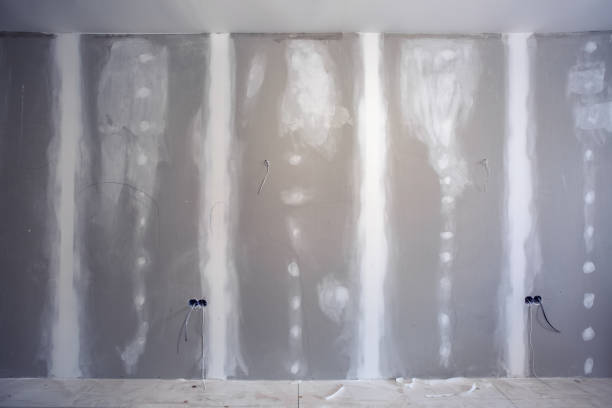 Best Dehumidification Services  in Mesita, NM